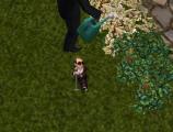 Gnome Superstar Screenshot