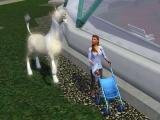 Bugs and other in Sims 3 Screenshot
