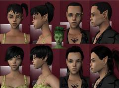 &nbsp;