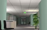 Bland White Ceiling Tiles Screenshot