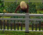 Mini Fences - Shrunken EA Base Game fences Screenshot