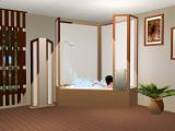 Pentago Bathroom Recolours Screenshot