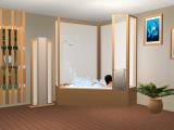 Pentago Bathroom Recolours Screenshot