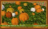 It's The Great Pumpkin Charlie Brown! Screenshot