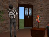 Sims Safety V Burglar Alarm Screenshot